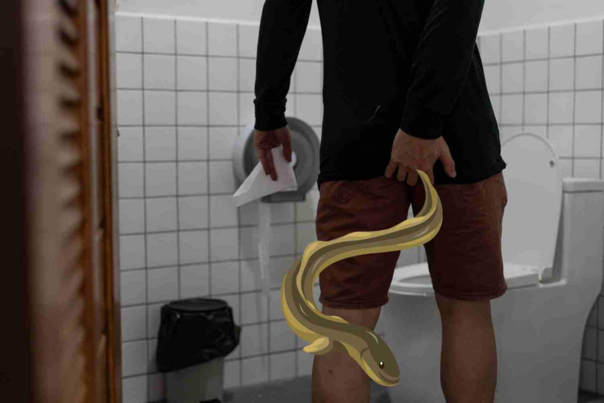 Anguila hombre  1600 1067