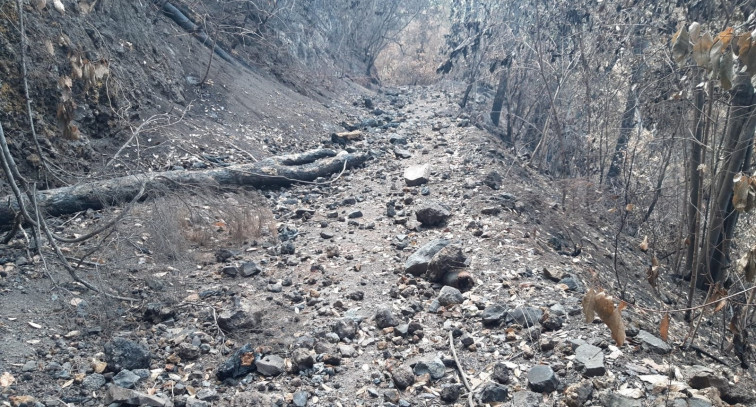 Detienen al autor de quince incendios en Tenerife