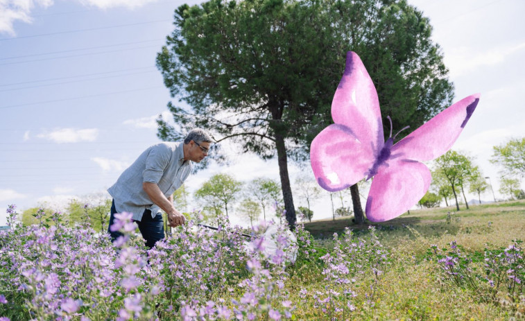 ¿Por qué motivo han disminuido las mariposas del área de Barcelona?