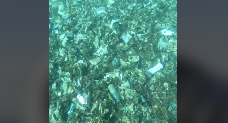 VÍDEO | Se viralizan las imágenes del fondo marino en Badalona: ¡Es un basurero!