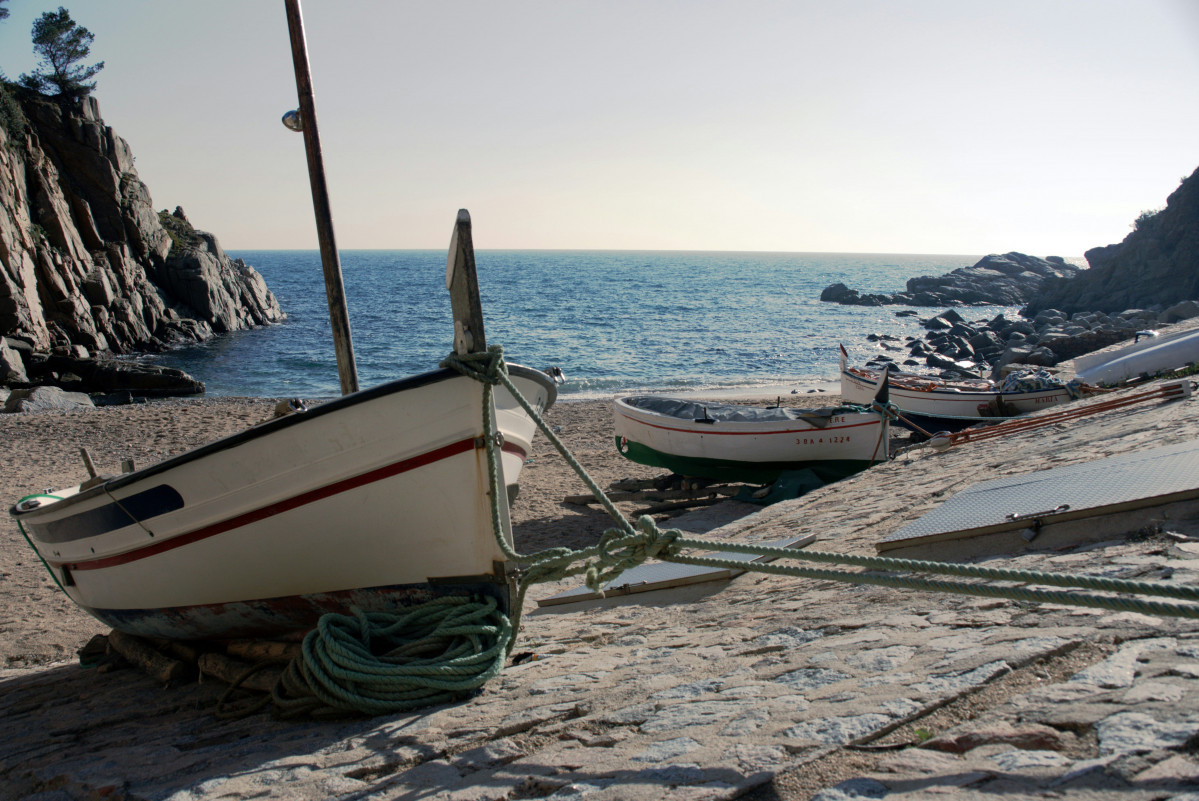 Bruno hervas uk7S1Cjn5ds unsplash