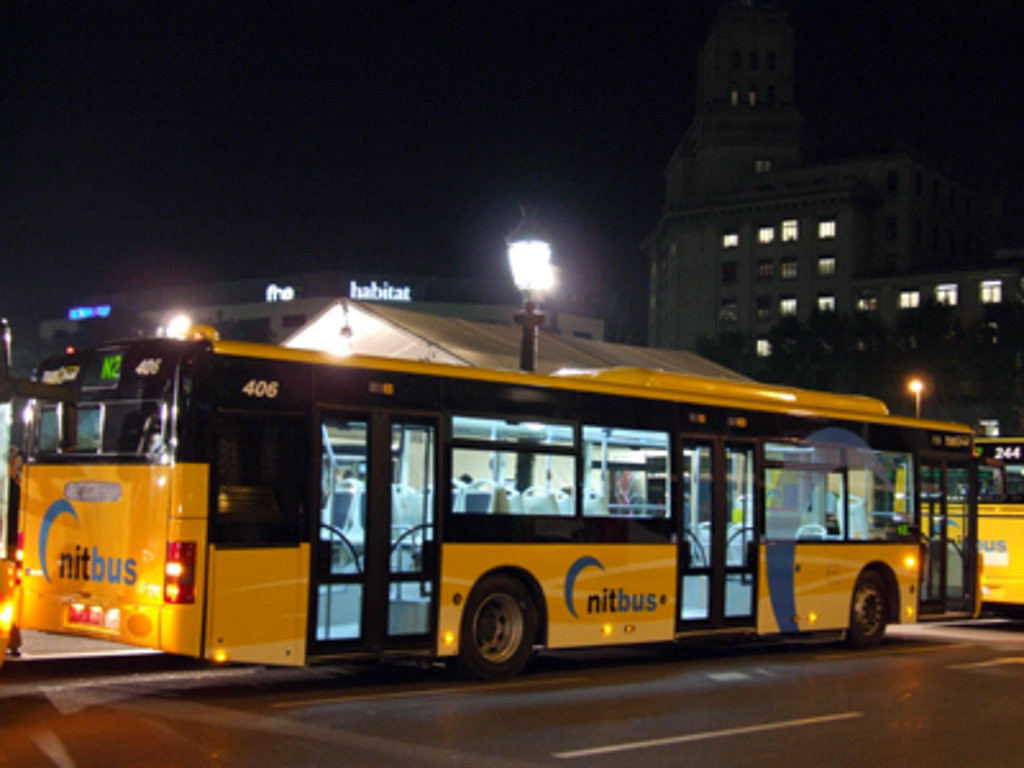 Nitbus