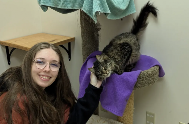 Un gato regresa con su familia después de una aventura de más de 3.000 km