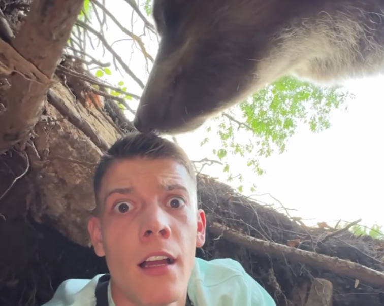 Un influencer entra en la cueva de un oso y espera a que regrese para ganar 'likes'