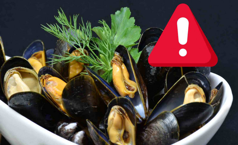 ¡Alerta sanitaria! Todo lo que necesitas saber sobre los mejillones contaminados en España