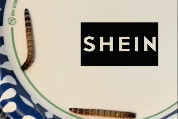 Una usuaria de TikTok alerta de que encontró gusanos en su pedido de Shein