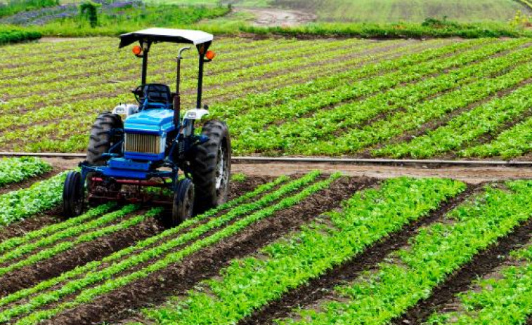 CaixaBank y el Ministerio de Agricultura destinarán 5 millones de euros para la innovación del sector