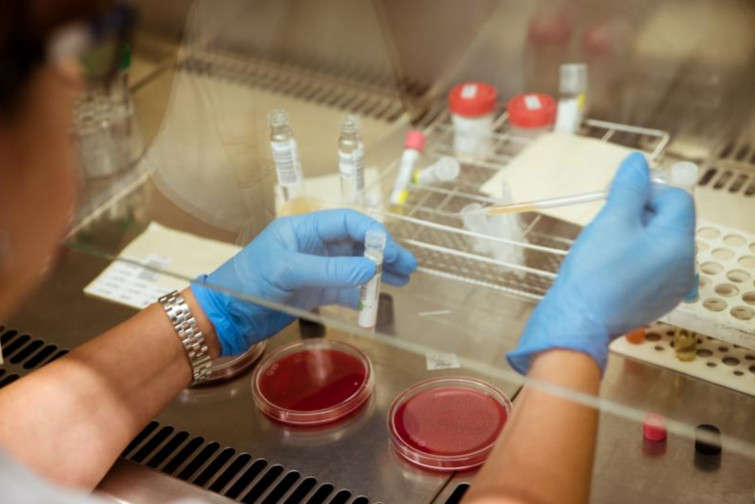 La Fundación La Caixa invertirá 3,4 millones en una treintena de proyectos de biomedicina