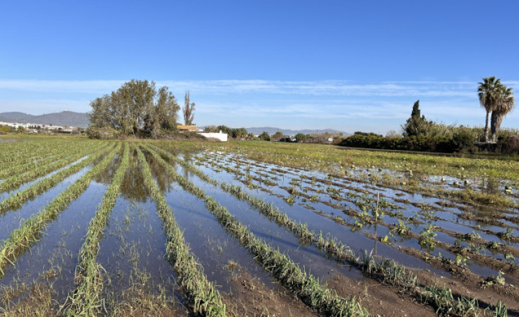 Catalunya presenta en la COP30 su estrategia para combatir el metano agrario