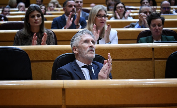 Marlaska dice que la medalla a Aldama de 2022 se dio por su relación con Interior desde la etapa del PP