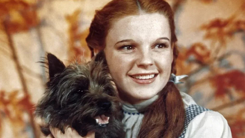 Judy garland personaje dorothy gale