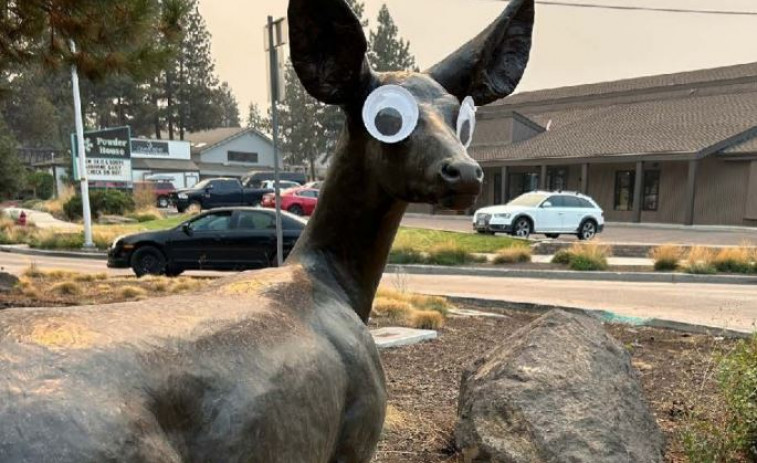 ¿Humor o vandalismo? Polémica por la moda de poner ojos saltones en obras de arte público