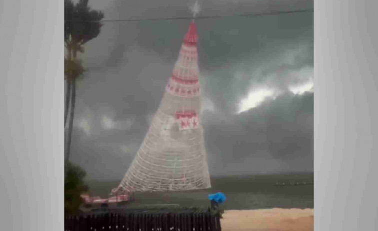 VÍDEO | Un hombre muere aplastado por un árbol de Navidad gigante