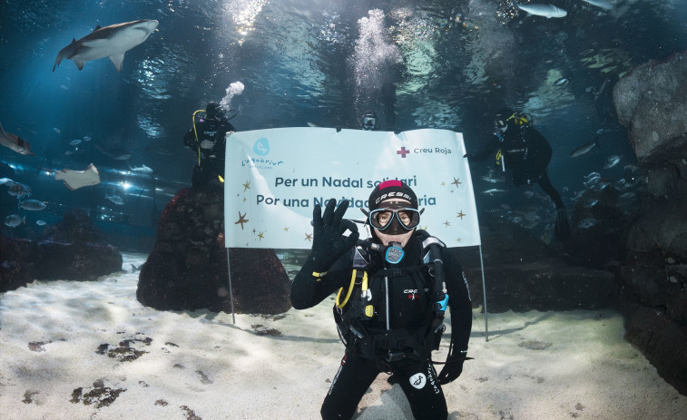 El chef Jordi Cruz se sumerge entre tiburones en el Baño Solidario del Aquarium de Barcelona