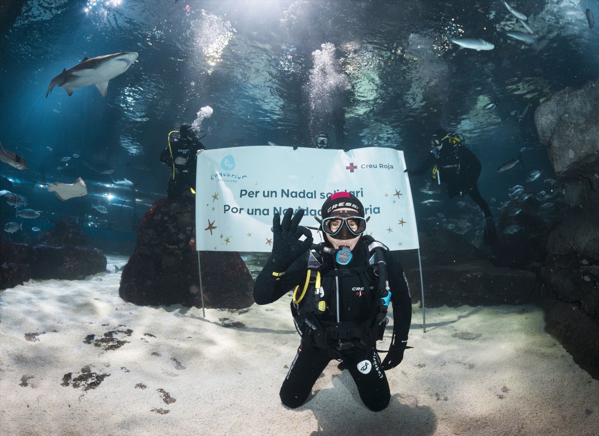 EuropaPress 6427757 chef jordi cruz sumerge tiburones bano solidario aquarium barcelona