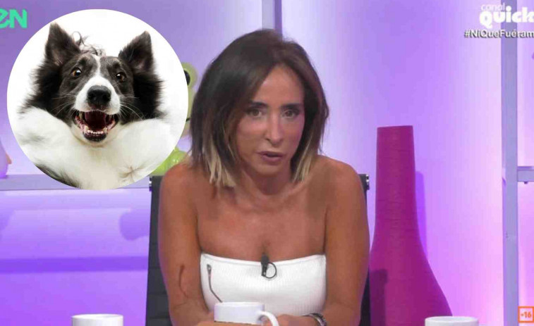 El increíble enfrentamiento de María Patiño con un perro: 