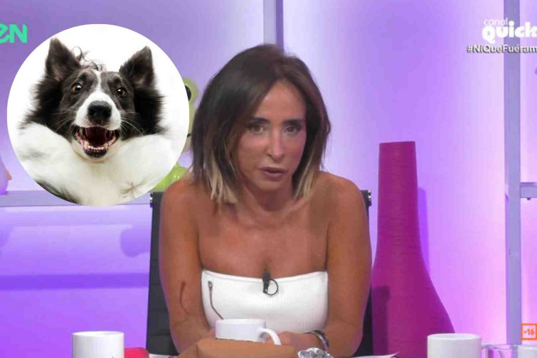 El increíble enfrentamiento de María Patiño con un perro: 