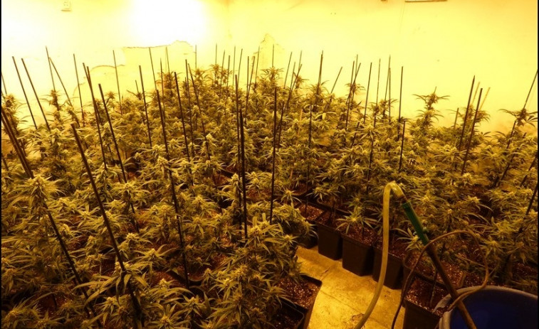 Tres detenidos por presuntamente asaltar una nave de Rubí para robar marihuana