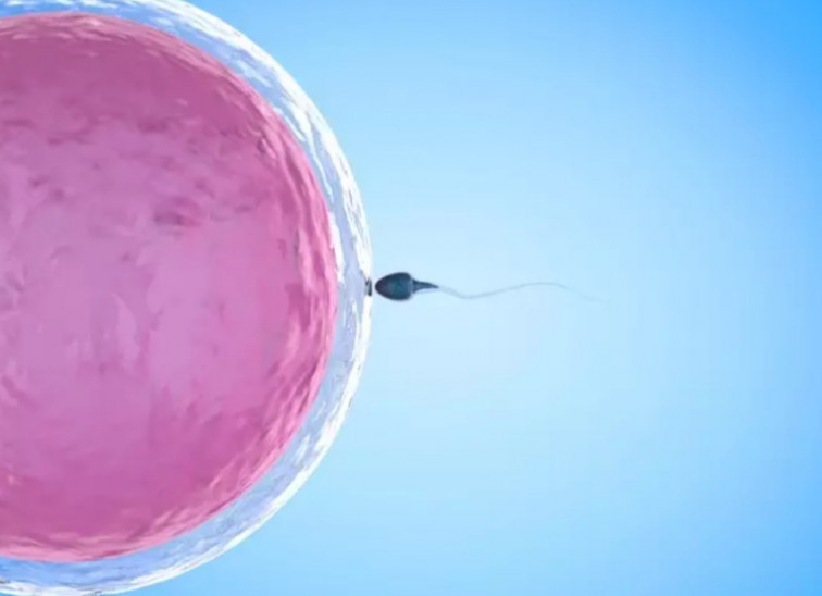 Una investigación arroja luz sobre las posibles causas de infertilidad masculina