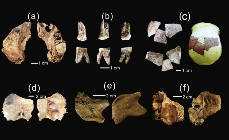 Descubren una nueva especie humana con un cerebro más grande que el de Homo sapiens