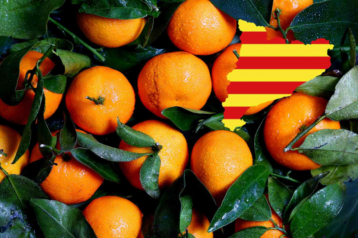 Fruta, catalunya