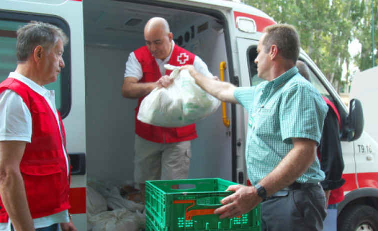 Toneladas de solidaridad: Mercadona colabora con 847 entidades sociales aportando comida