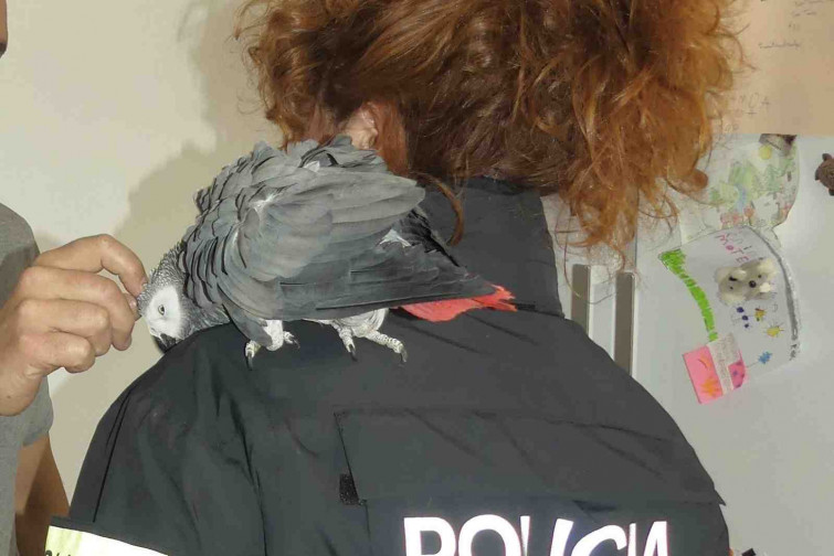 Un loro robado hace tres años vuelve con su dueño tras ser rescatado en Lleida