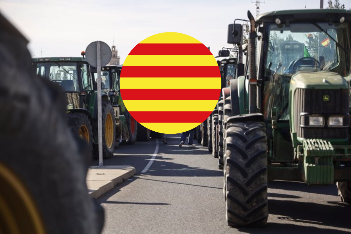 Catalunyapress pagesoscat