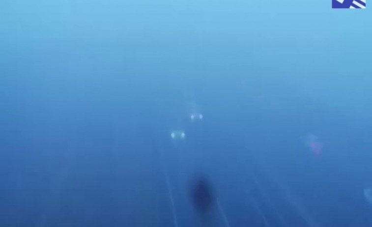 Niebla en Catalunya: más de 150 kilómetros de carreteras catalanas afectadas
