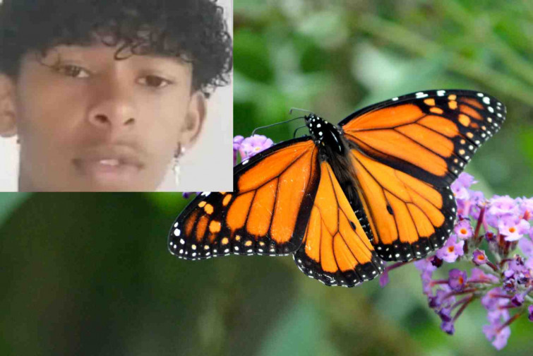 Un niño de 14 años muere tras inyectarse una mariposa muerta para un desafío viral