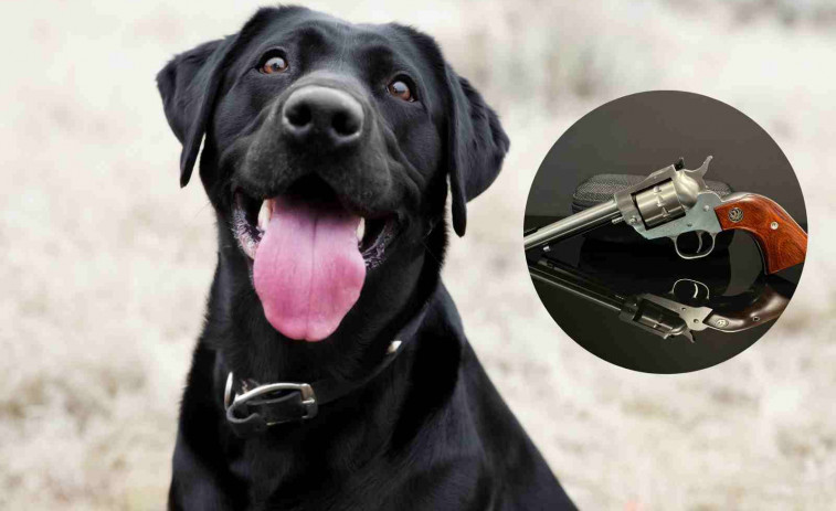 Un perro dispara accidentalmente a su dueño mientras estaba en la cama