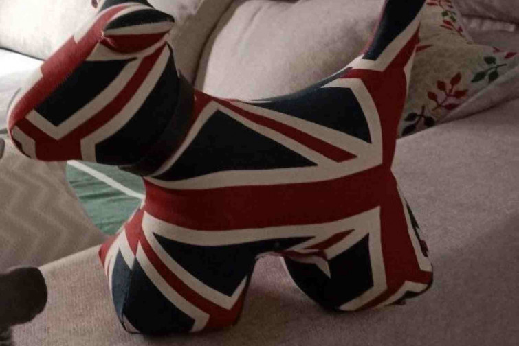 Sale de prisión tras 27 años por asesinato, roba un peluche en Valladolid y le caen otros seis meses