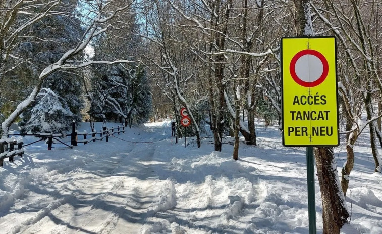Afectaciones en el Parc Natural del Montseny a causa de la nieve