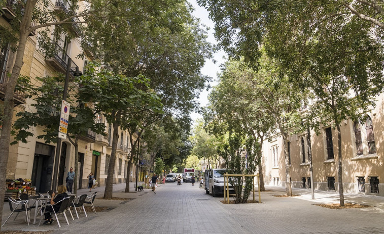 Golpe judicial: el TSJC tumba el eje verde de Consell de Cent en Barcelona