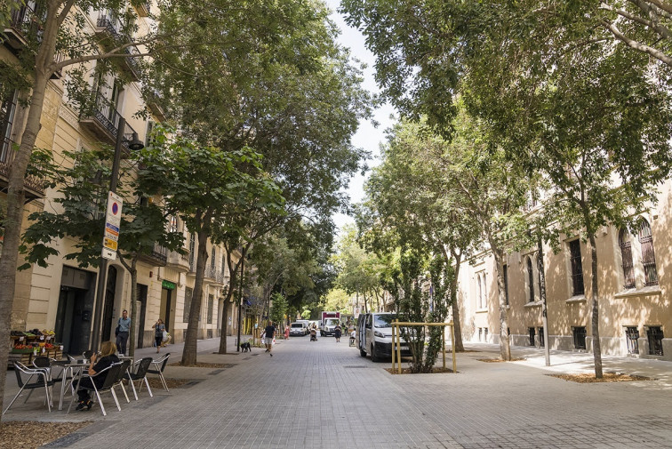 Golpe judicial: el TSJC tumba el eje verde de Consell de Cent en Barcelona
