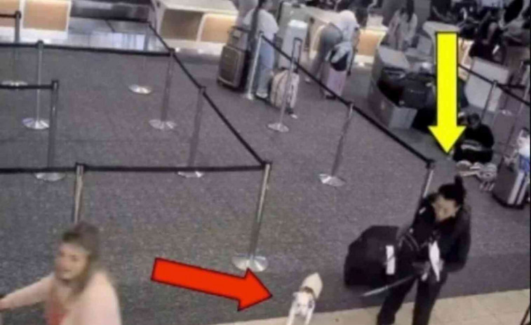 Una mujer ahoga a su perro en el baño del aeropuerto tras impedirle abordar un vuelo con él