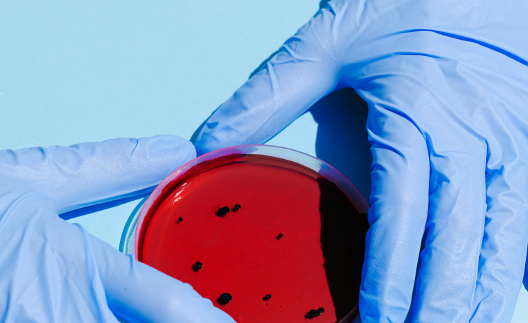 IDIBELL y el Hospital de Bellvitge alertan de infecciones graves debido a la resistencia a los antibióticos de la bacteria 