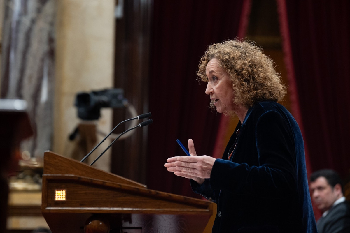 EuropaPress 6603693 portavoz erc parlament ester capella pleno monografico rodalies parlament