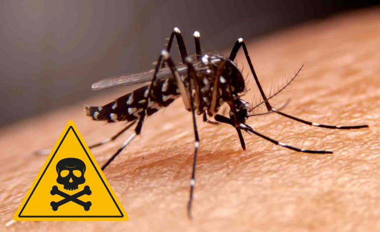 Un medicamento convierte la sangre humana en un veneno mortal para los mosquitos
