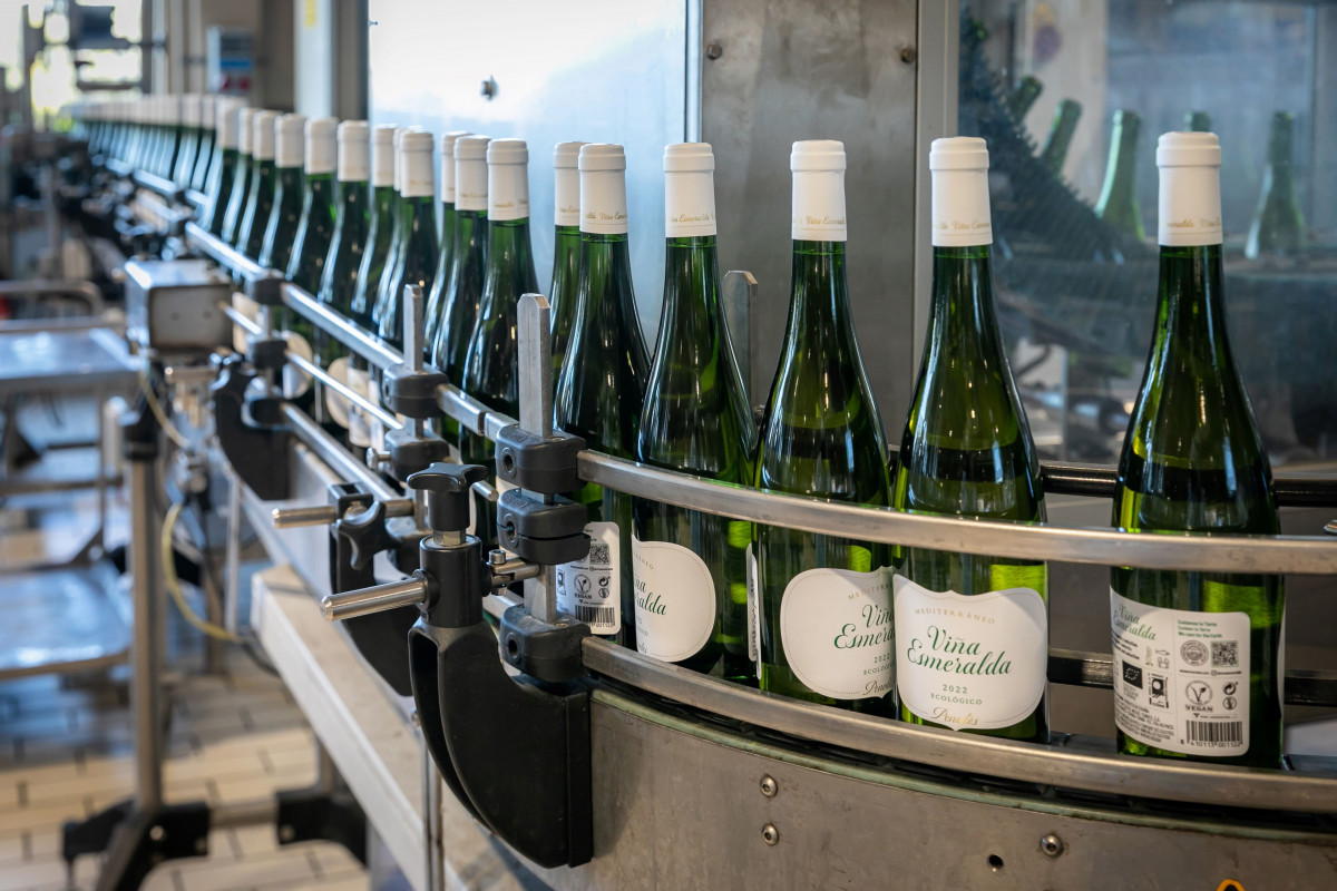 Línea de embotellamiento de vinos del Penedès (Barcelona)