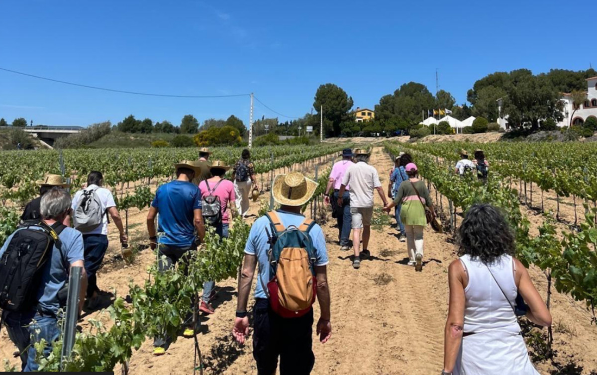 Catalunyapress enoturisme2