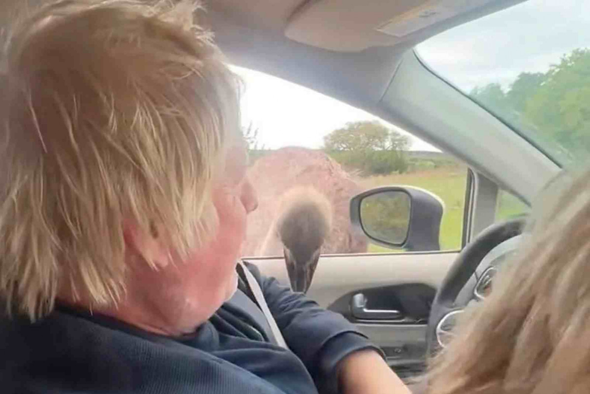 Boris Johnson con el avestruz antes de producirse la tragedia