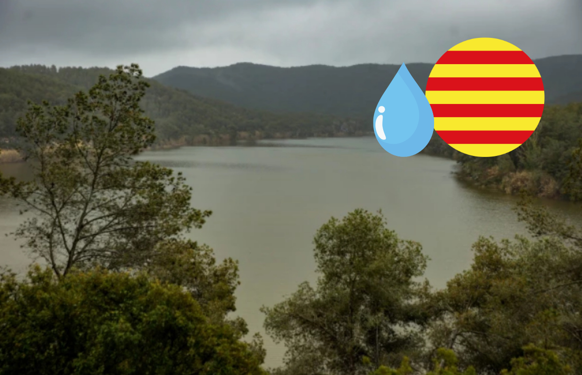 Catalunyapress sequera11ab25
