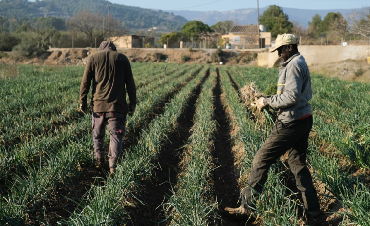 La Generalitat invierte 4,93 millones de euros en agricultura sostenible con el apoyo del FEADER