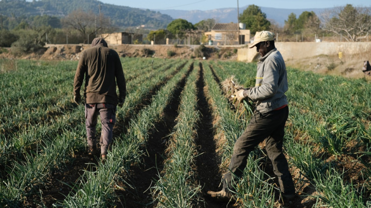 La Generalitat invierte 4,93 millones de euros en agricultura sostenible con el apoyo del FEADER