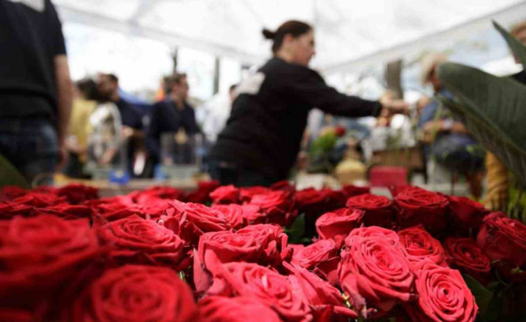 Girona vibra con Sant Jordi 2025: ¡El plan perfecto con libros y rosas!