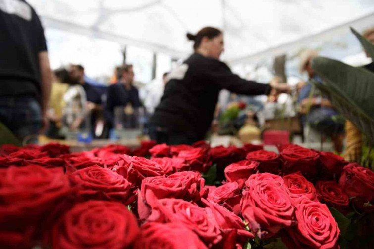 Girona vibra con Sant Jordi 2025: ¡El plan perfecto con libros y rosas!