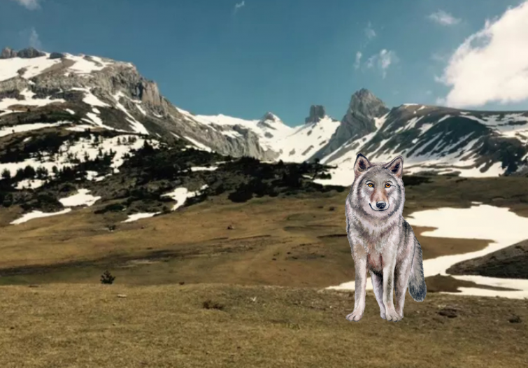 Entidades animalistas protestan por la 