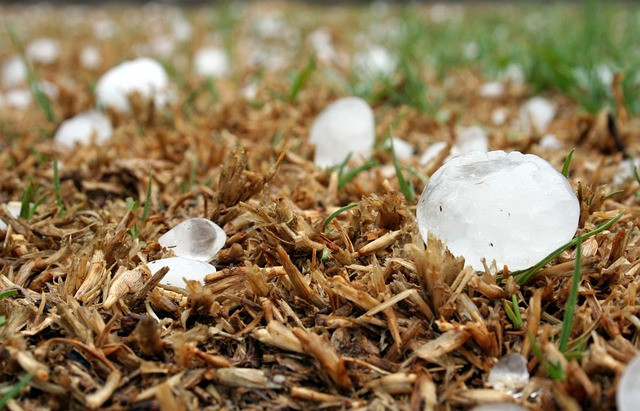 Catástrofe agrícola en Lleida: el granizo lo destroza todo