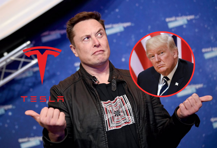 Elon Musk asegura que está 